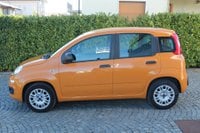 FIAT Panda Benzina 1.2 Easy Usata in provincia di Cuneo - Puntoauto Cuneo img-1
