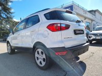 Ford EcoSport Diesel 1.5 TDCi 100 CV Start&Stop Titanium Usata in provincia di Perugia - Narcisi Auto 1 img-3