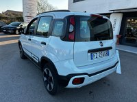 Auto Fiat Panda 1.2 69Cv Cross Usate A Latina