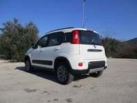 Auto Fiat Panda 0.9 Twin Air Turbo Ses 4X4 Usate A Latina