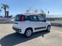 Auto Fiat Panda 1.2 Lounge Usate A Campobasso