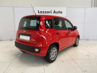 Auto Fiat Panda 1.0 Firefly S&S Hybrid Usate A Lodi