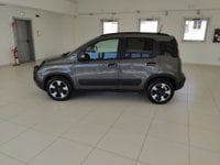 Auto Fiat Panda 1.0 Firefly S&S Hybrid City Cross Usate A Arezzo