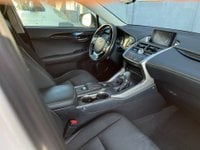 Lexus NX Ibrida NX Hybrid 4WD Executive Usata in provincia di Roma - LEXUS ROMA SUD - ZEROCENTO - Viale dell'Arte  20 img-7