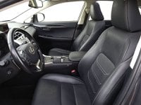 Lexus NX Ibrida Hybrid 4WD Luxury Usata in provincia di Treviso - Nordauto - Via Feltrina Sud  162/a img-12