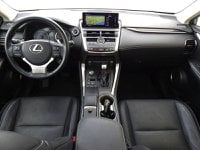 Lexus NX Ibrida Hybrid 4WD Luxury Usata in provincia di Treviso - Nordauto - Via Feltrina Sud  162/a img-15