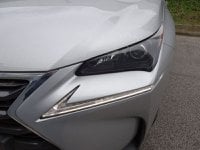 Lexus NX Ibrida Hybrid 4WD Executive Usata in provincia di Treviso - Nordauto - Via Feltrina Sud  162/a img-9