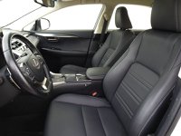 Lexus NX Ibrida Hybrid 4WD Executive Usata in provincia di Treviso - Nordauto - Via Feltrina Sud  162/a img-11