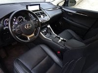 Lexus NX Ibrida Hybrid 4WD Luxury Usata in provincia di Treviso - Nordauto - Via Feltrina Sud  162/a img-9