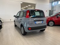 Auto Fiat Panda New 1.0 Firefly Hybrid City Life S&S 70Cv Usate A Brescia