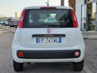Auto Fiat Professional Panda Van 1.3 Mtj 80 Easy Van 4 Posti 23.000 Km Iva Comp. Usate A Foggia