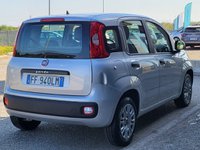 Auto Fiat Panda 1.3 Mjt 95 Cv Easy 26.000 Km. Usate A Foggia
