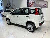 Auto Fiat Panda 0.9 Twinair Turbo Natural Power Easy Usate A Parma
