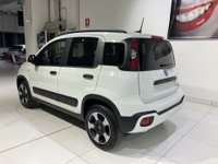 Auto Fiat Panda Cross 1.0 Firefly S&S Hybrid Cross Usate A Parma