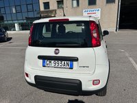 Auto Fiat Panda 1.0 Firefly S&S Hybrid Usate A Bergamo