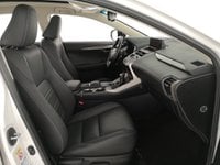 Auto Lexus Nx 300 Hybrid 4Wd Sport Usate A Reggio Emilia