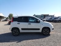 Auto Fiat Professional Panda Van 0.9 Twinair Turbo S&S 4X4 Pop Van 2 Posti Usate A Reggio Emilia