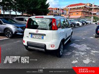 Auto Fiat Panda Panda 4X4 Serie 3 0.9 Twinair Turbo Usate A Massa-Carrara