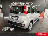 Auto Fiat Panda Panda 1.2 Easy 69Cv E6 Usate A Massa-Carrara