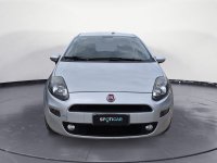 Auto Fiat Punto Punto 1.2 8V 5 Porte Lounge Usate A Catania