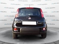 Auto Fiat Panda 1.0 Firefly S&S Hybrid *Promo Finanziaria* Km0 A Mantova
