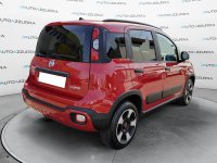 Auto Fiat Panda Cross 1.0 Firefly S&S Hybrid *Promo Finanziaria* Usate A Mantova