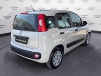 Auto Usate A Ravenna | Fiat Panda Panda 1.2 Easy 69Cv