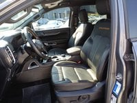 Auto Usate A Ravenna | Ford Ranger Ranger 2.0 Ecoblue Doppia Cabina Wildtrak Awd 205Cv Auto