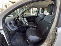 Auto Usate A Ravenna | Fiat Panda Panda 1.2 Easy 69Cv