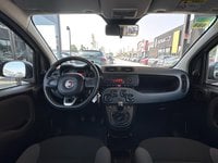 Auto Usate A Ravenna | Fiat Panda Panda 1.2 Easy 69Cv