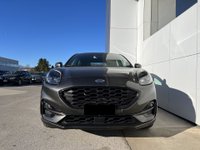 Auto Ford Puma 1.0 Ecoboost 125 Cv S&S St-Line X Usate A Cuneo