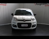 Auto Usate A Piacenza | Fiat Professional Panda Van Iii Van 1.0 Hybrid Easy 70Cv 4P.ti Serie 3 E6D