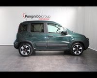Auto Usate A Piacenza | Fiat Panda Cross Panda Iii 2021 Cross Panda 1.0 Firefly Hybrid (Red) S&S ...