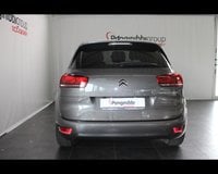 Auto Usate A Piacenza | Citroën C4 Spacetourer 1.5 Bluehdi Shine S&S 130Cv Eat8