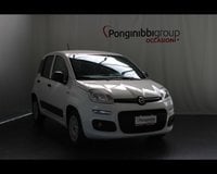 Auto Usate A Piacenza | Fiat Professional Panda Van Iii Van 1.0 Hybrid Easy 70Cv 4P.ti Serie 3 E6D