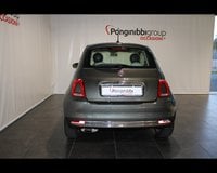 Auto Usate A Piacenza | Fiat 500 Iii 2015 1.2 Lounge 69Cv My20