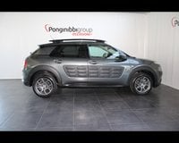 Auto Usate A Piacenza | Citroën C4 Cactus 2014 1.6 Bluehdi Shine 100Cv