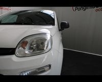 Auto Usate A Piacenza | Fiat Professional Panda Van Iii Van 1.0 Hybrid Easy 70Cv 4P.ti Serie 3 E6D