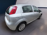 Auto Usate A Teramo | Fiat Punto Punto 5P 1.4 Easypower Lounge Gpl E6