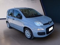 Auto Usate A Teramo | Fiat Panda Panda 1.2 Lounge S&S 69Cv My19 Benzina/Metano