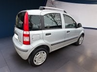 Auto Usate A Teramo | Fiat Panda Panda 1.4 Natural Power Dynamic Mamy