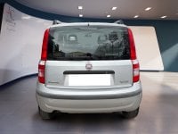 Auto Usate A Teramo | Fiat Panda Panda 1.4 Natural Power Dynamic Mamy