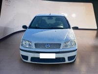 Auto Usate A Teramo | Fiat Punto Punto 5P 1.2 Active Gpl