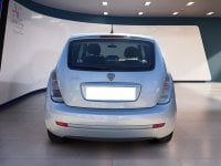Auto Usate A Teramo | Lancia Ypsilon Ypsilon 1.3 Mjt 16V Platinum E5
