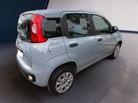 Auto Usate A Teramo | Fiat Panda 0.9 Twin Air Turbo Natural Power 84Cv Benzina/Metano