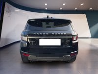 Auto Usate A Teramo | Land Rover Range Rover Evoque Range Rover Evoque 5P 2.0 Ed4 Se Dynamic 150Cv