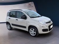 Auto Usate A Teramo | Fiat Panda 0.9 Twinair Turbo Natural Power Lounge