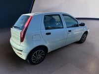 Auto Usate A Teramo | Fiat Punto Punto 5P 1.2 Active Gpl