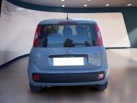Auto Usate A Teramo | Fiat Panda Panda 1.2 Lounge S&S 69Cv My19 Benzina/Metano