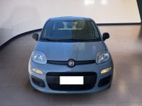 Auto Usate A Teramo | Fiat Panda Panda 1.2 Lounge S&S 69Cv My19 Benzina/Metano